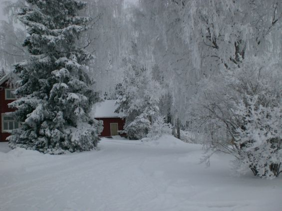 Kukka
