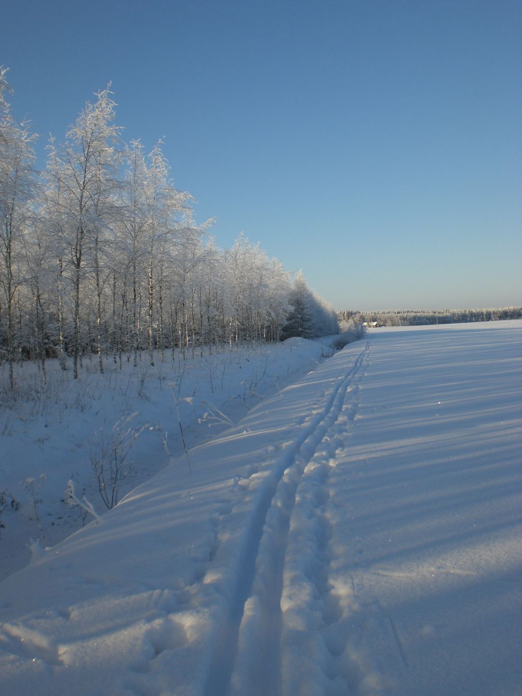 Kukka